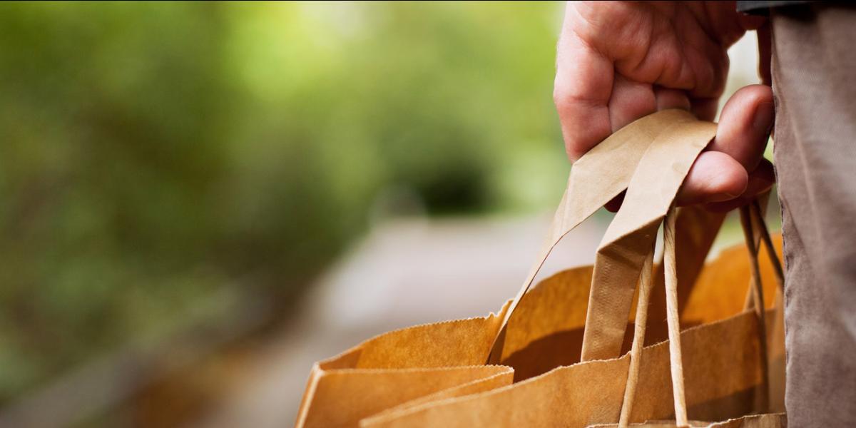 Hand holding grocery bag of food