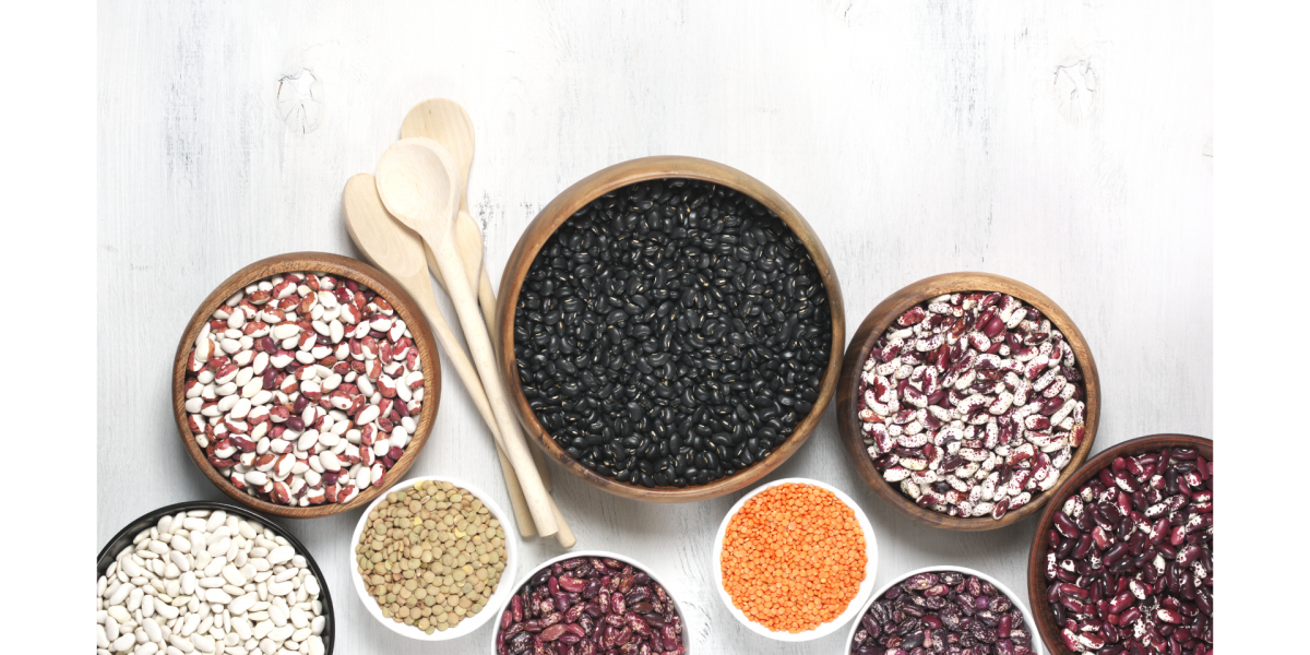 Photo for Dried Beans Information Sheet and Recipe. Various bowls of dried beans against a white background.