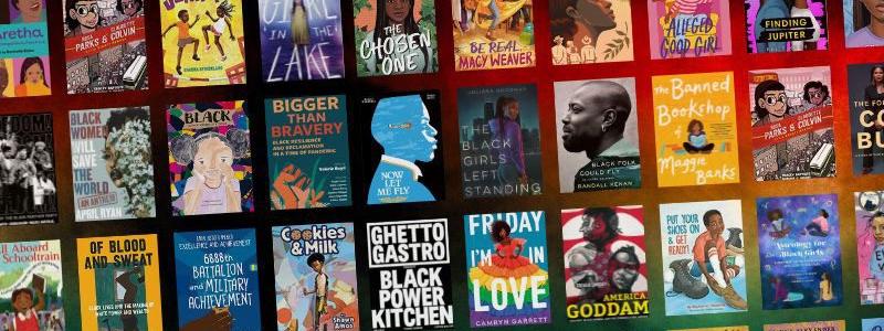 Black History Month books from Oak Park Public Library 
