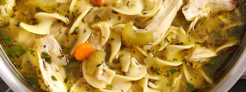 chicken noodle soup