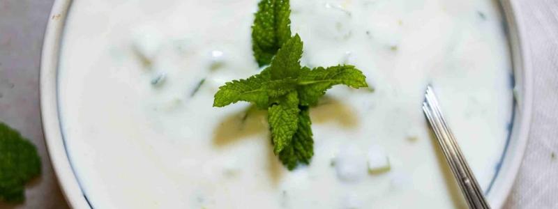 Cucumber Mint Yogurt