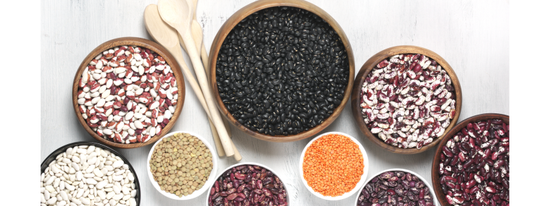 Photo for Dried Beans Information Sheet and Recipe. Various bowls of dried beans against a white background.
