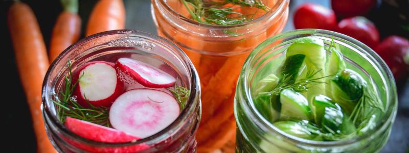 cucumber carrots radishes vinegar salt dill garlic