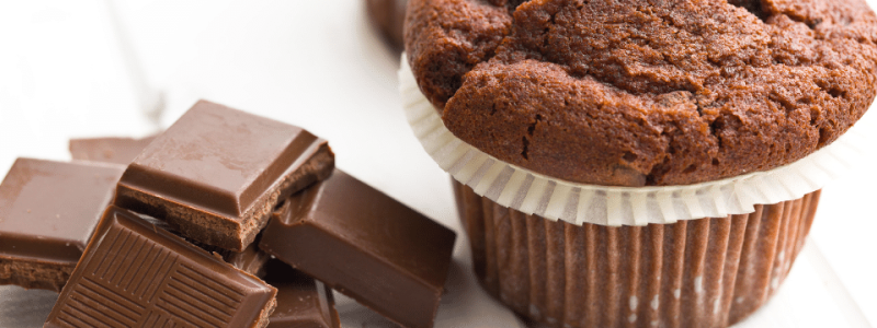 Chocolate Muffin 