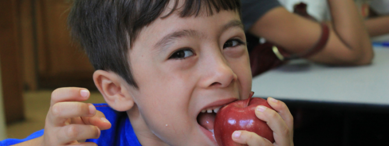 Kids Food Programs