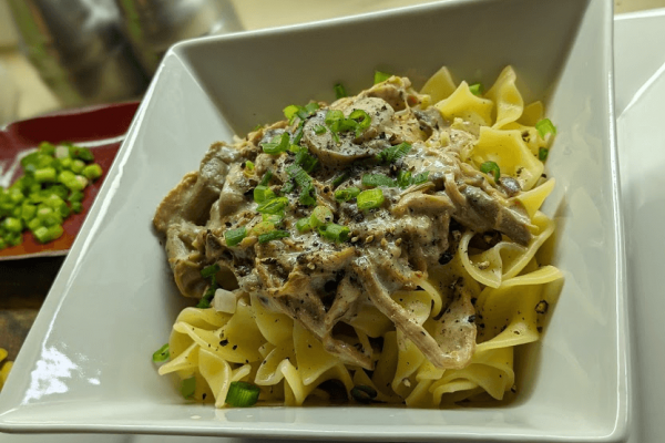 Pork Tenderloin, served with mushroom cream sauce over noodles in a white dish